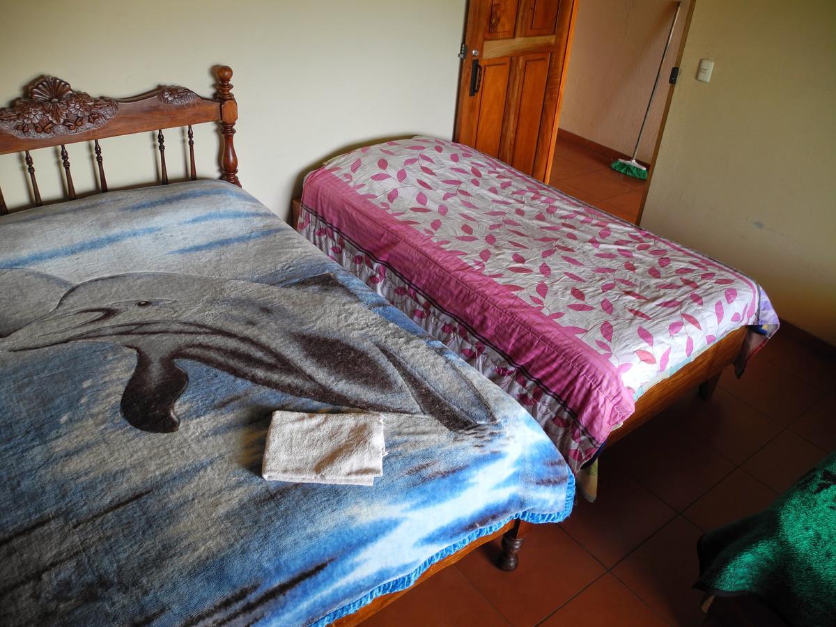 Sleepers Sleep Cheaper Hostel Монте-Верде Экстерьер фото